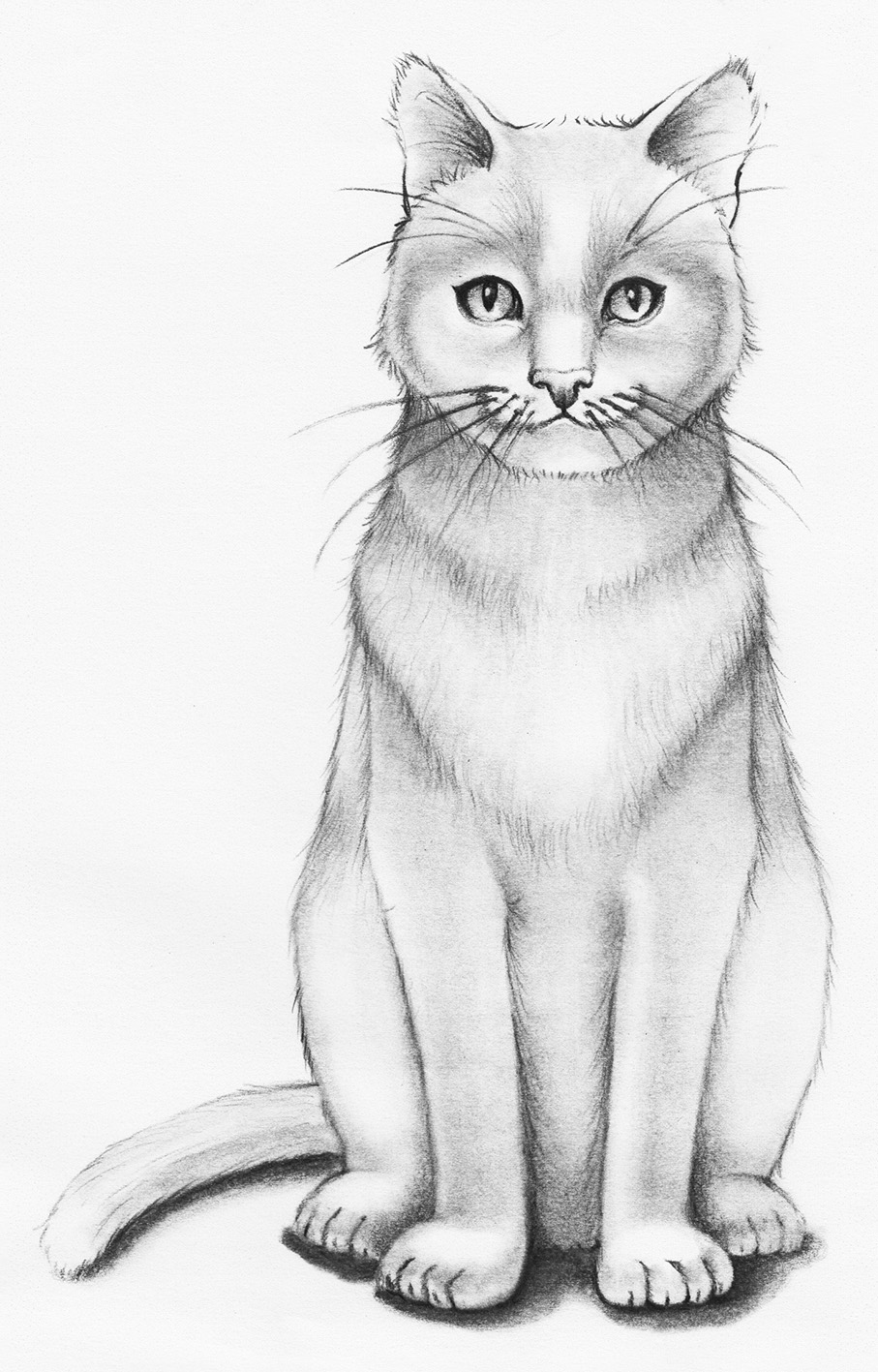 catart